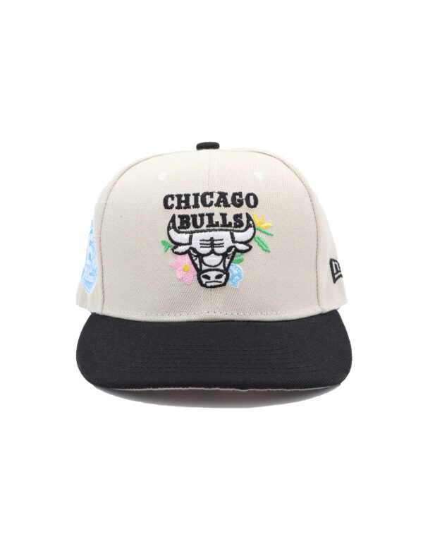 کپ فیت بکChicago bulls